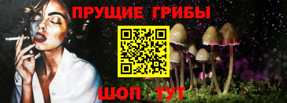 хочу   Псилоцибиновые грибы Cubensis  Вход с VPN  Усть-Джегута 