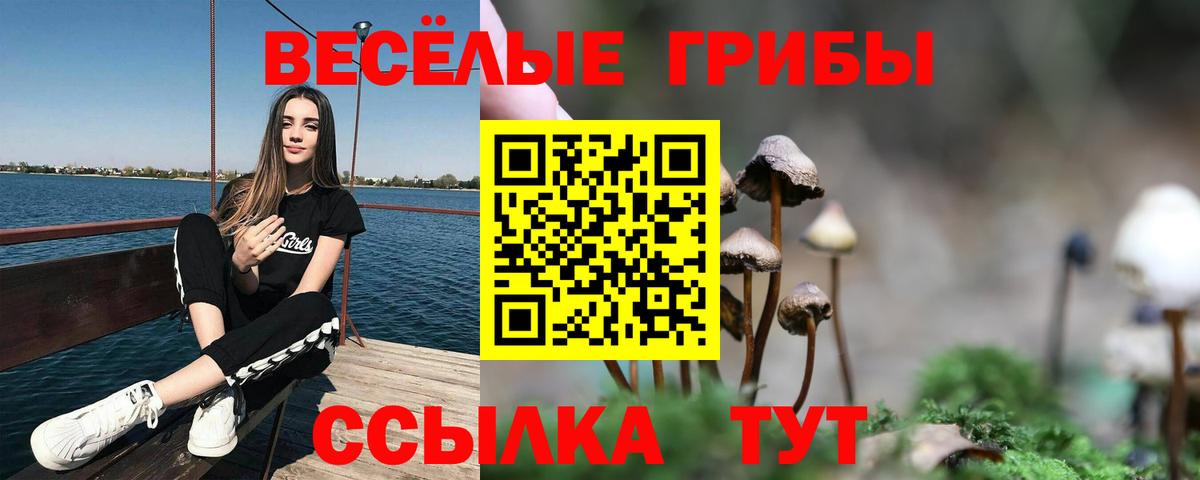 Псилоцибиновые грибы Magic Shrooms Усть-Джегута